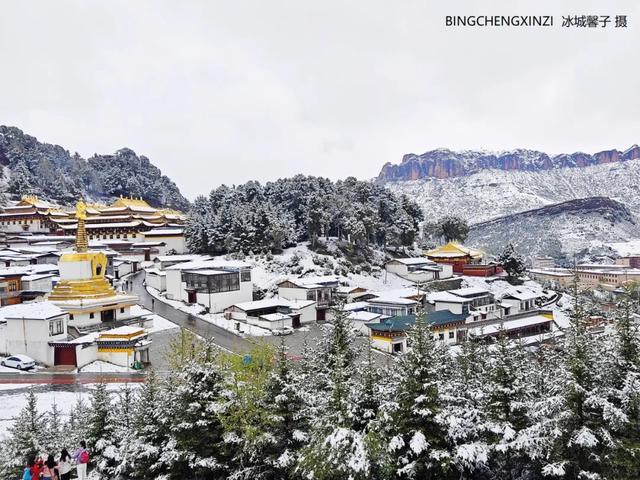 甘南-川西北之旅-6︱六月雪吻郎木寺