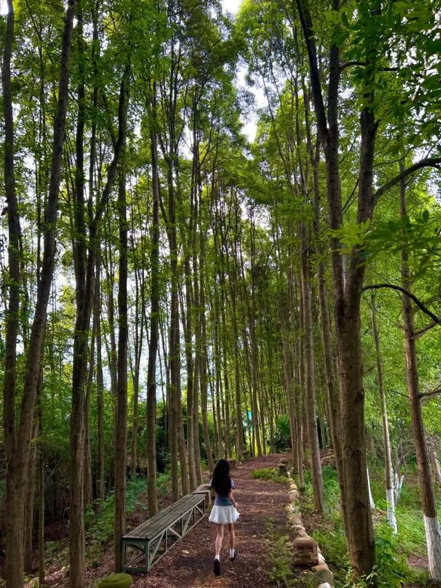 成都10个周末一日游宝地,没有门票~徒步露营溜娃都巴适!