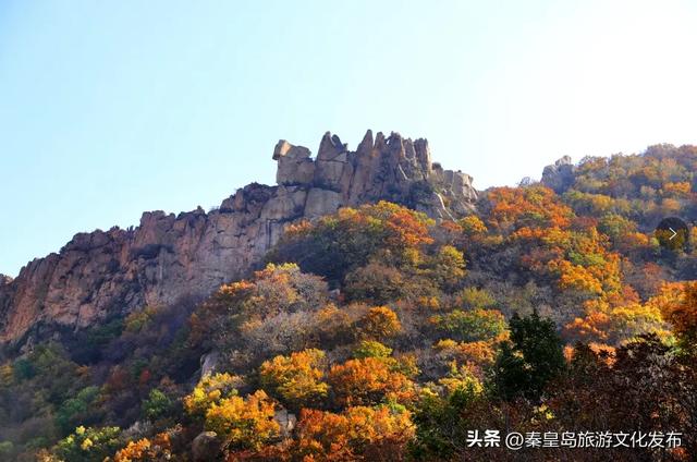 十一假期，秦皇岛祖山·山野艺术季，多种活动满足您的出游需求！