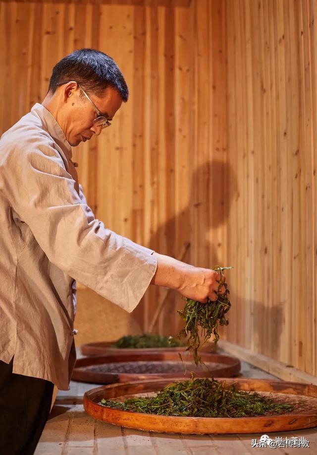 12位首批国非遗武夷岩茶制作技艺传承人