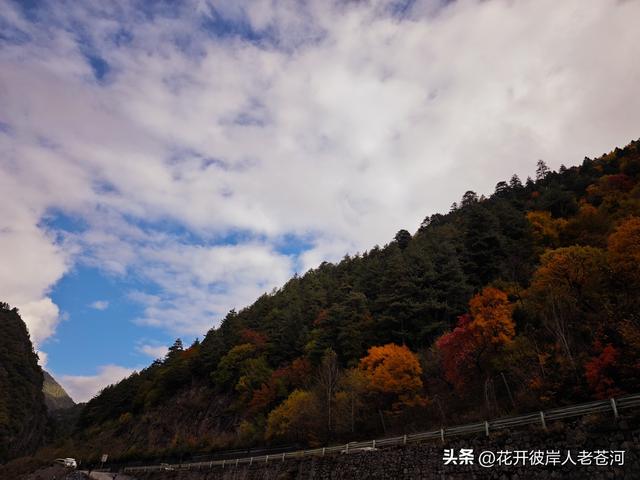 米亚罗彩林季，观赏一日游！