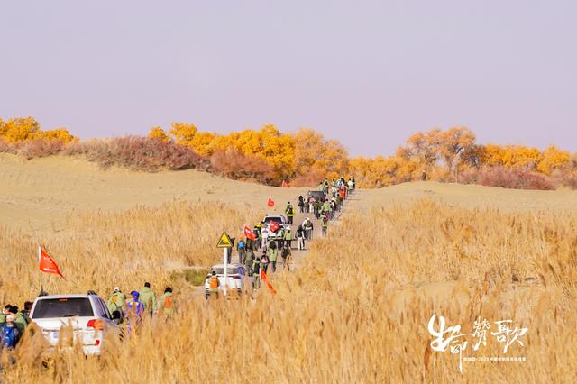 重返新疆，再铸辉煌 新瑞贝·2025中国纺织精英挑战赛走进大美尉犁