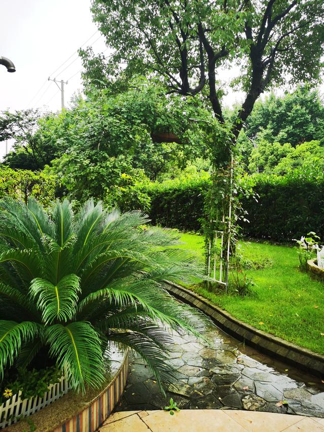 立冬桂晚，秋韵未阑