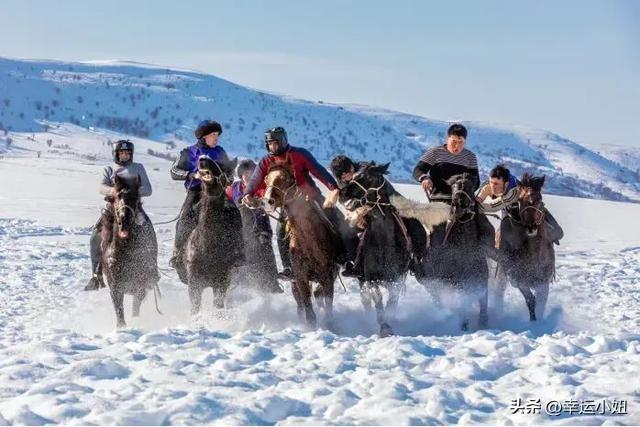 江苏游客免费！新疆昭苏万马奔腾等您
