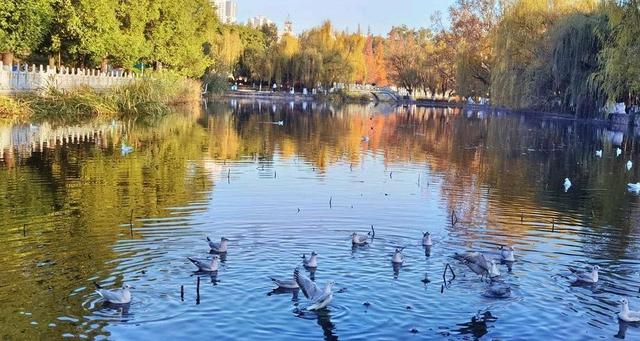 云南唯一的“特大城市”，面积比北京、成都大，人口超过800万