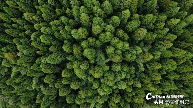 还不知道吧？蔡甸索河山环水绕育真温泉