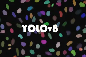 用自己的数据集训练YOLOv8实例分割模型图片