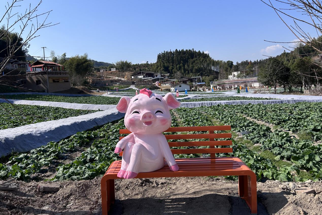 福建首座“猪文化”IP主题景区“小花猪趣味王国”试营业