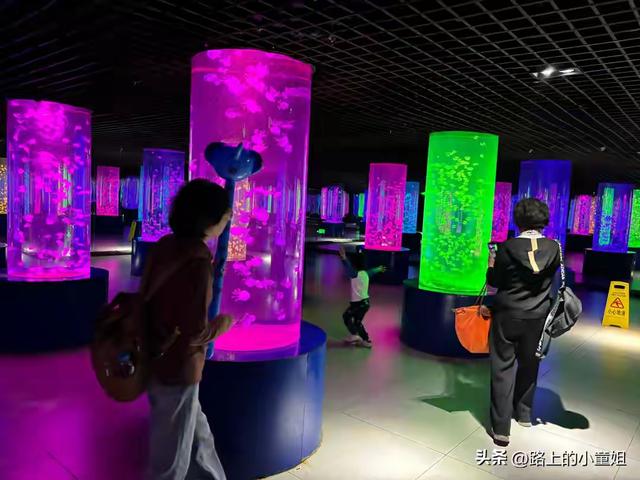 零距离邂逅神奇动物！南京金牛湖野生动物王国超详细游玩攻略