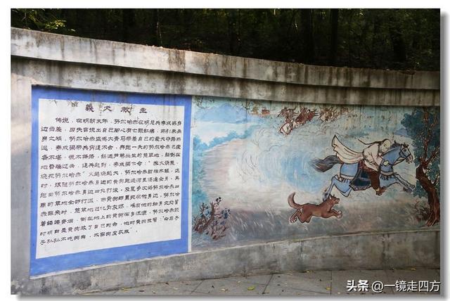 沈阳东陵郊野公园“精灵”出没