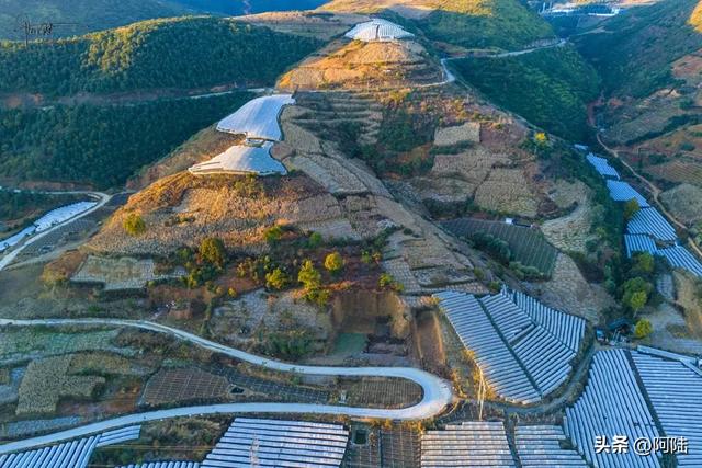 如果你正在大理摆烂,这条被果园包围的乡村小道很值得去跑一跑