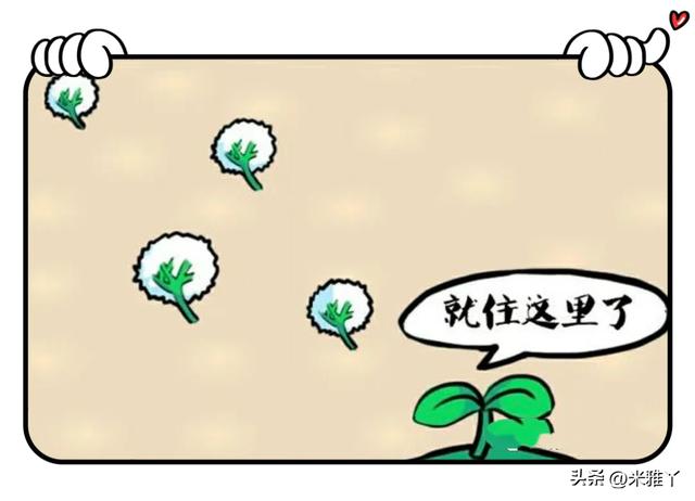 看👀图猜成语！岁月是一面镜子，照人，照己，照过往。【511】
