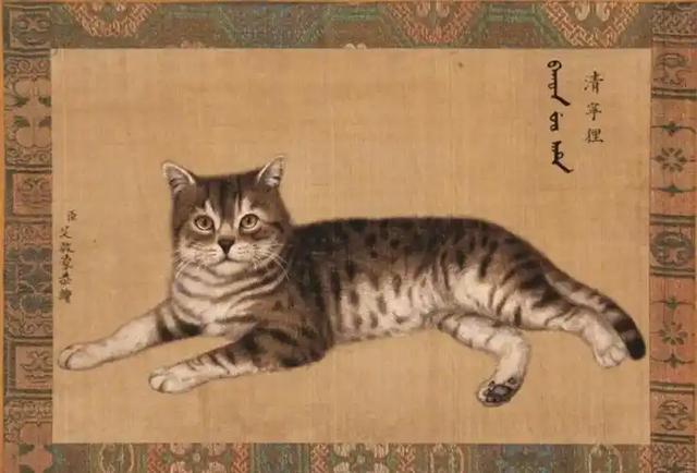 故宫里的宫猫火了！白天当网红，晚上做保安，背后还有600年编制
