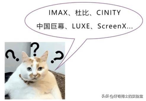 IMAX、杜比、CINITY、巨幕，电影院不同的影厅到底有啥区别？