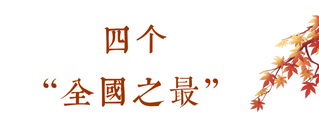 第二十四届吉林·蛟河长白山红叶旅游季启幕