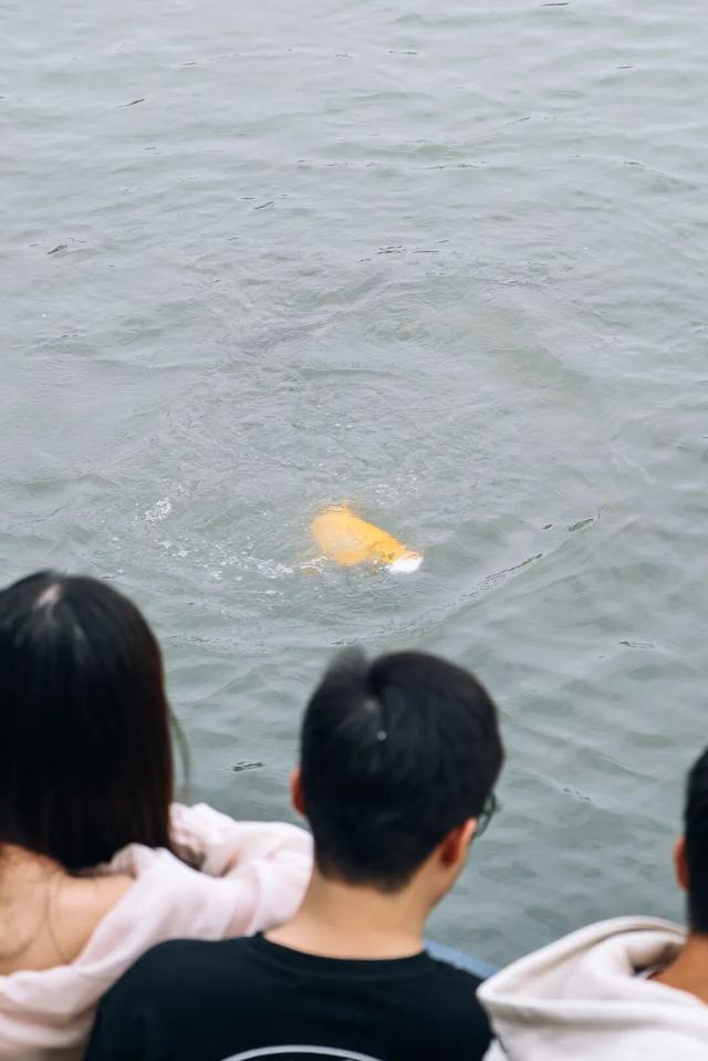 宜宾冠英古街秋假遛娃指南：非遗扎染、燃面研学、江边喂鱼，一站式玩透！