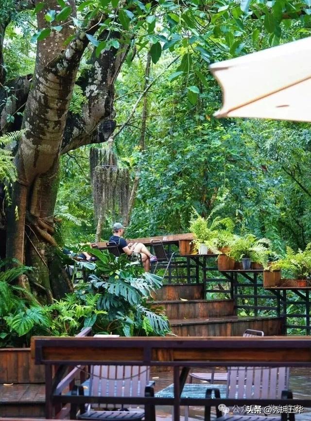 旅居云南｜德宏，是你安放身心、享受生活的最佳过冬地！