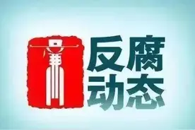 傅志星、黄运辉、徐祈强、程前锋被查，何彩、章天鸿被“双开”图片