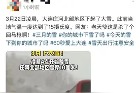 真的！今早庄河下雪了！图片