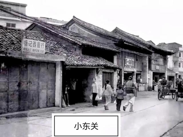 老王坡实现蝶变的密码是什么？