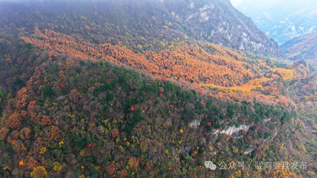 松针作笔，风折叶黄——嘉陵江峡谷群的初冬上滩书