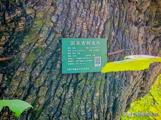 17）初冬暖阳里的16公里奔赴！济源黄河三峡藏着北方的“千岛湖”