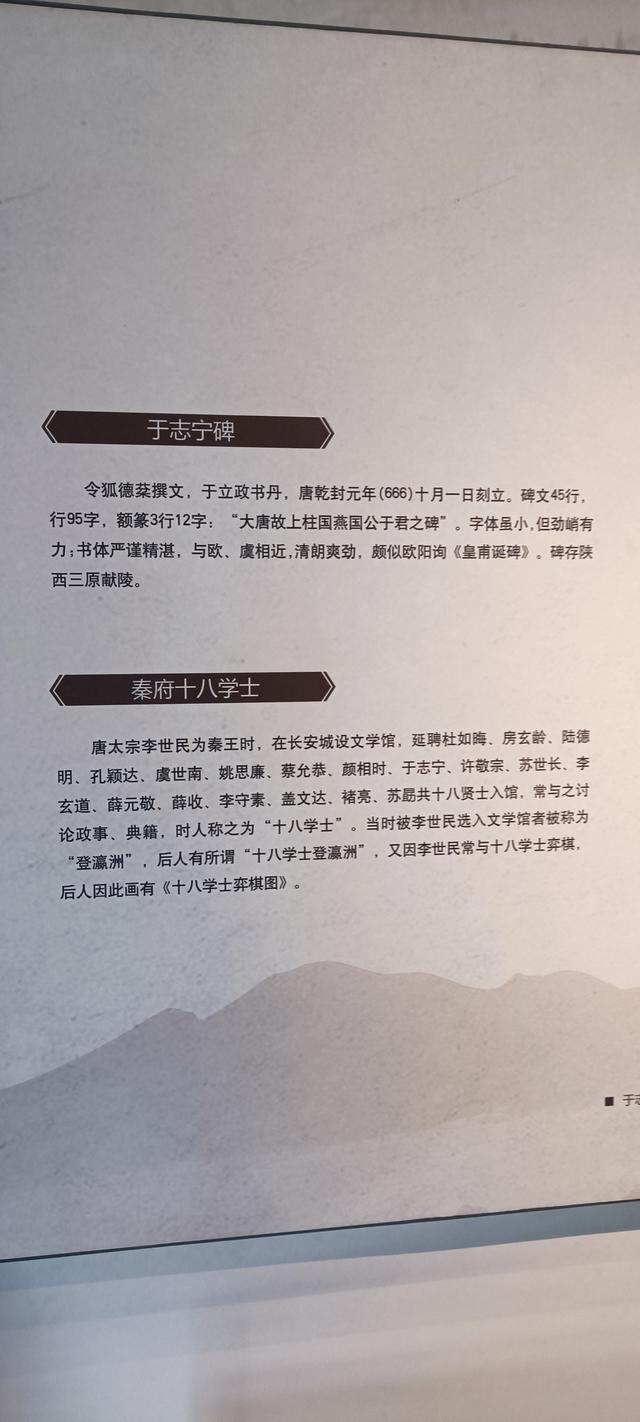 高陵昭慧塔文物展