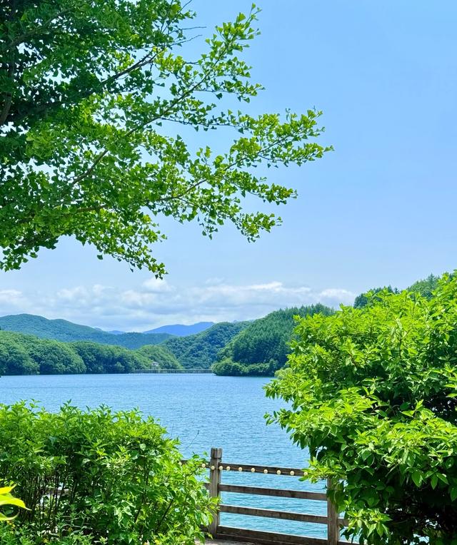 我是北京人，去了趟辽宁宽甸，忍不住讲讲这小城的独特人文印象。