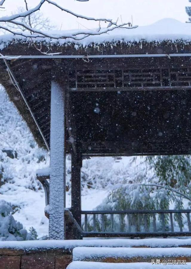 冬享沂蒙过大年｜雪落沂蒙，山河藏暖