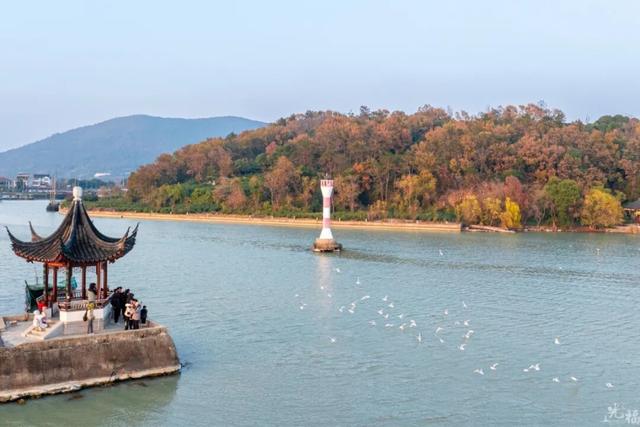 真的很美！2025苏州太湖观鸟超详细攻略来啦！