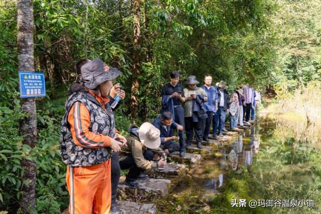 聚合医疗赋能新模式，共谋康养旅居新方向