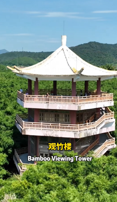 火了！肇庆大叔用英文推介家乡！厄瓜多尔网友：准备组团↘