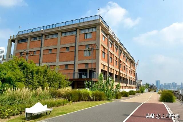 寻迹杨浦，这场Citywalk干货满满