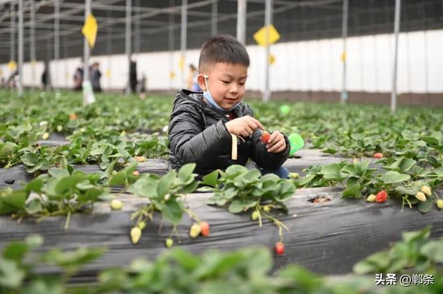 约么？邯郸这4条旅游线路被全省推荐！