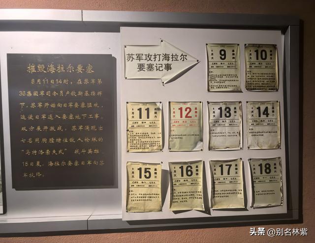 世界反法西斯战争胜利80年之际，参观海拉尔纪念园，哈萨尔桥夜景