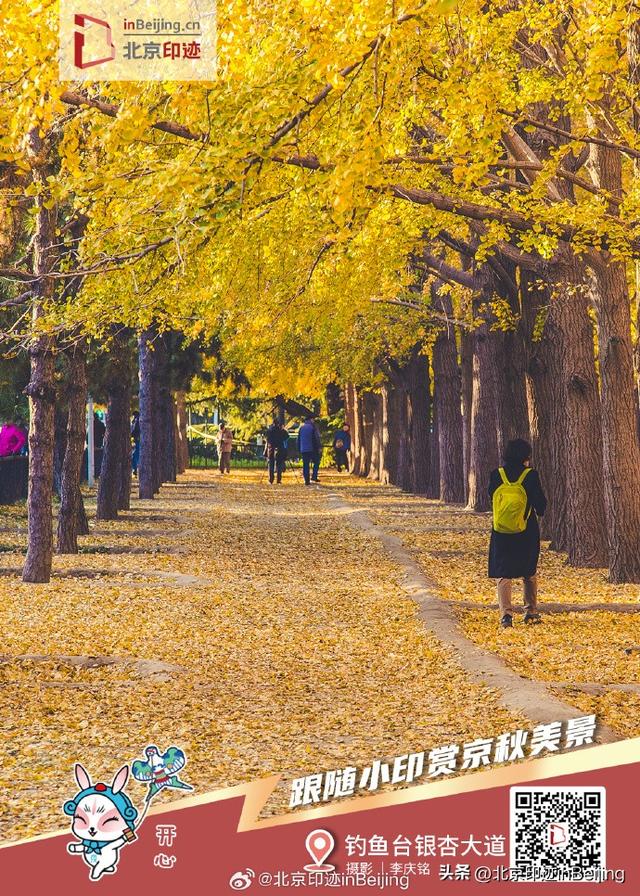 还在遗憾秋天太短暂？邀您一键保存京秋印迹