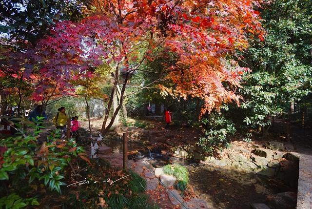 中国的景区门票通常特别贵，但为什么国外的景区几乎不收门票？