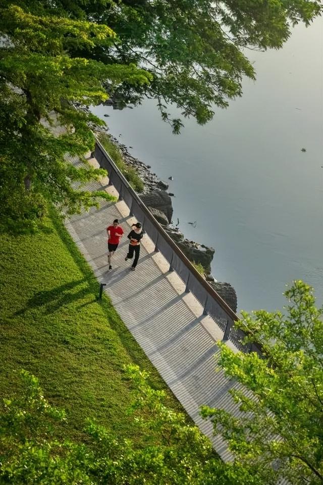 车轮丈量东江“最美身段”！东莞“三江六岸”成十五运会骑行热地