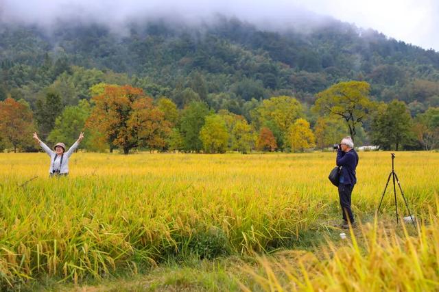 秋韵黟川·山水秘境颐养之旅 | 皖美秋日