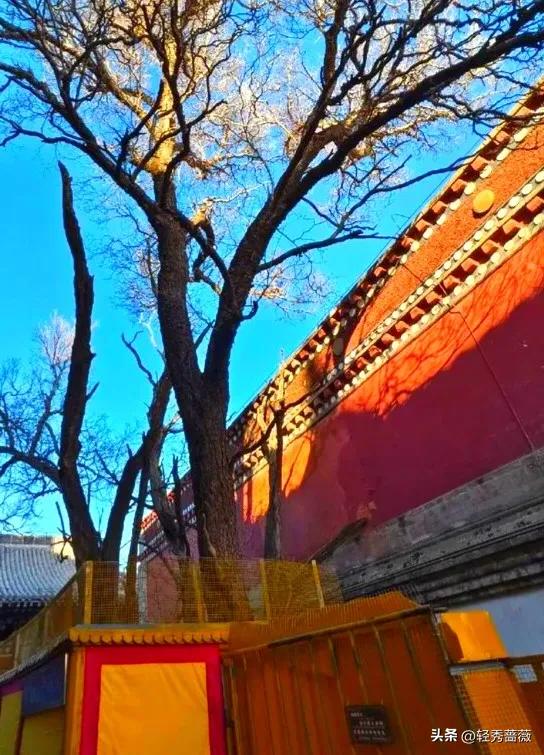 夏都西宁，最值得游玩的景点推荐