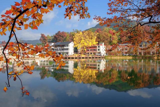 红叶指南：太湖源头的江南秋魂