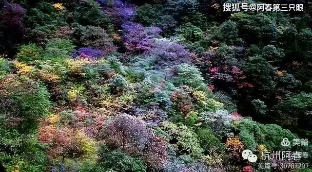 奇峻秀美 三清山