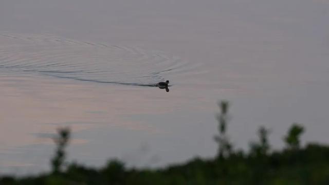 谁说初冬只有萧瑟？来太白湖新区解锁绚烂生机打卡地