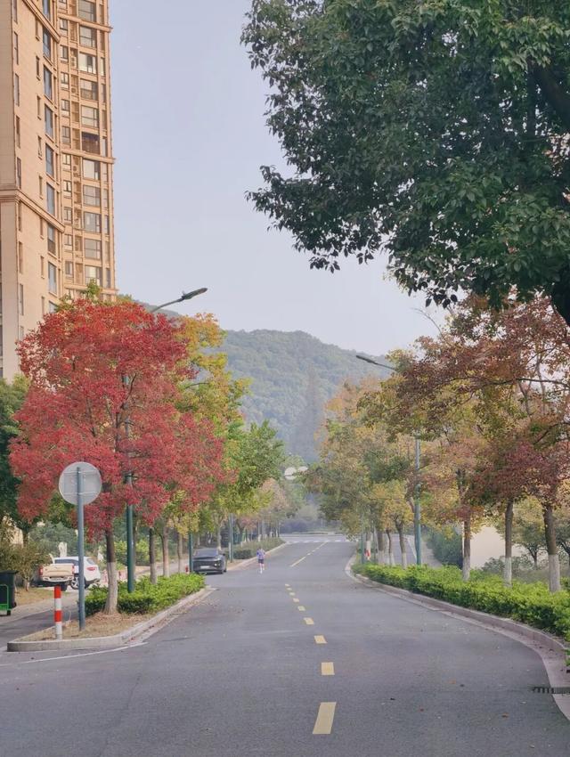 逛起来！8小时10个公园！