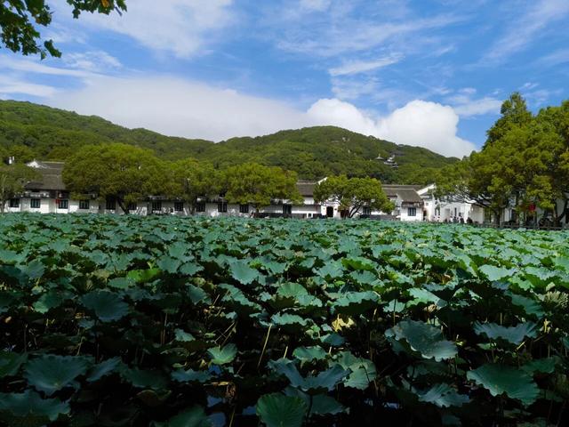 闲游普陀山