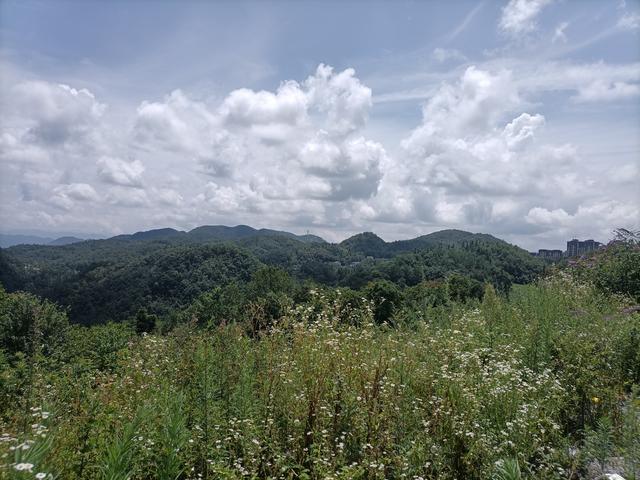 湖北巴东绿葱坡有个灯盏窝森林公园，特别适合夏纳凉冬滑雪
