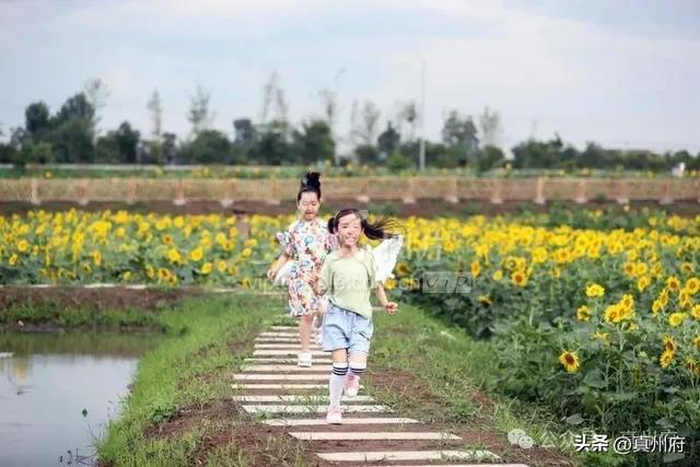 仪征东大门有个农文旅“金三角”，进来看看吧