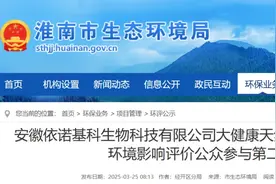 上海、安徽国资为何都投了这一项目？图片