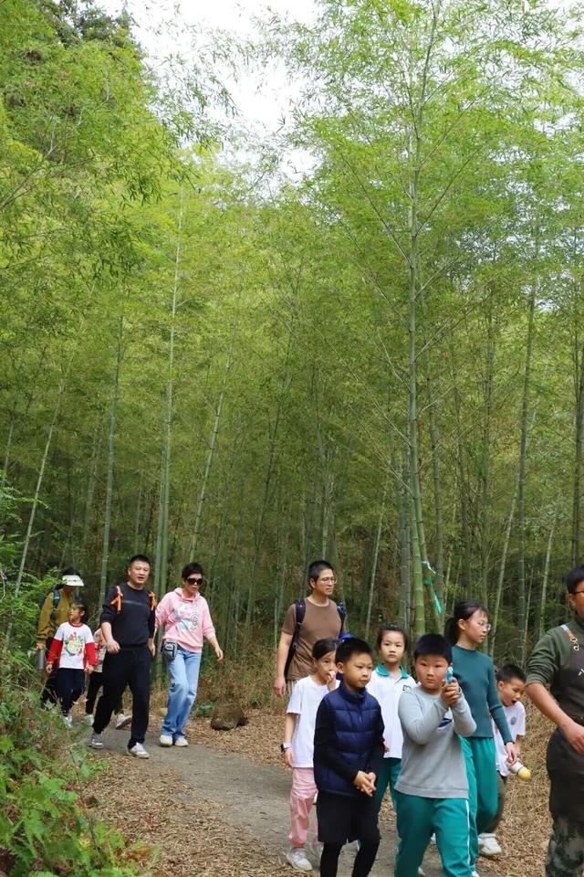 从化寻宝挖冬笋，摘砂糖橘任意吃，土窑烤披萨，DIY非遗竹节人！