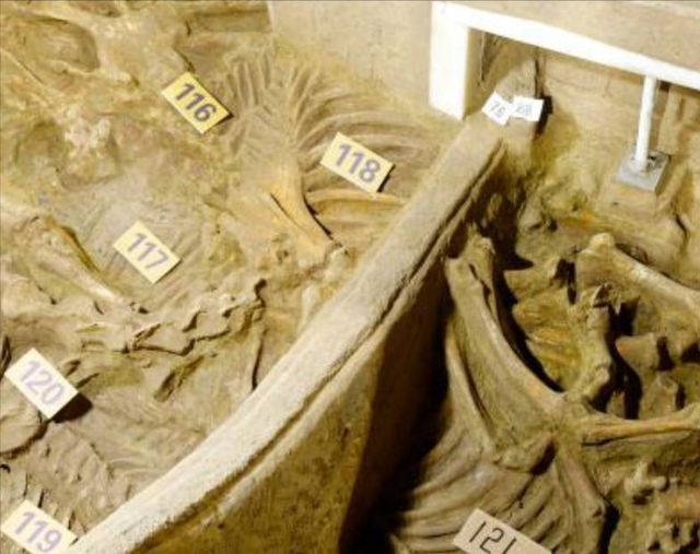 墨西哥考古大发现！骷髅塔藏千年秘密，征服者谎言被戳穿